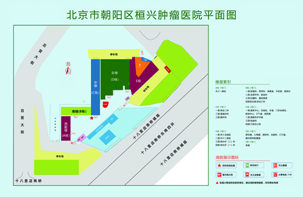 抽插骚逼视频北京市朝阳区桓兴肿瘤医院平面图